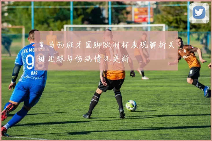 皇马西班牙国脚欧洲杯表现解析关键进球与伤病情况更新