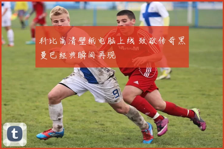 科比高清壁纸电脑上线 致敬传奇黑曼巴经典瞬间再现