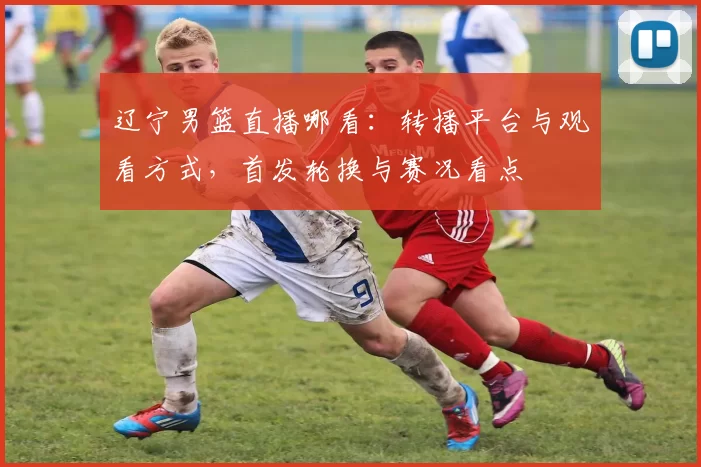辽宁男篮直播哪看:转播平台与观看方式,首发轮换与赛况看点