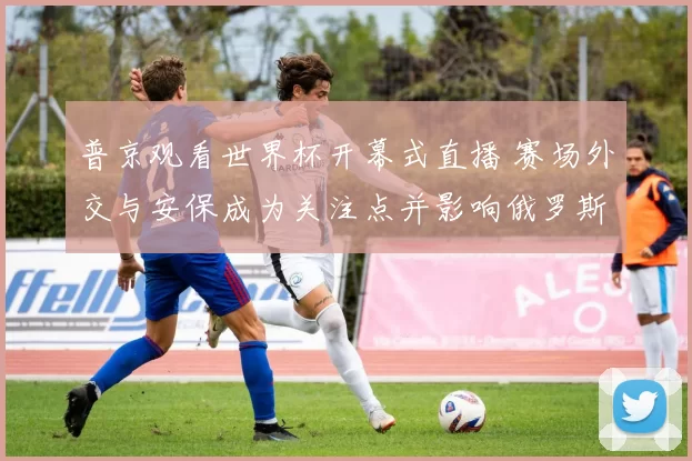 普京观看世界杯开幕式直播 赛场外交与安保成为关注点并影响俄罗斯形象